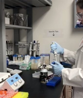 Researchers discover process to sustainably produce psilocybin a drug candidate that could help treat depression