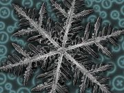 Scientists discover fractal patterns in a quantum material