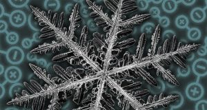Scientists discover fractal patterns in a quantum material