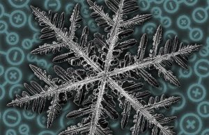 Scientists discover fractal patterns in a quantum material