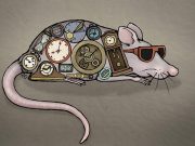 Scientists discover skin keeps time independent of the brain Scientists discover skin keeps time independent of the brain