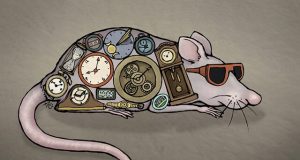 Scientists discover skin keeps time independent of the brain
