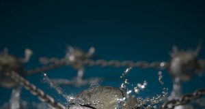 Scientists discover unique stretchable conductor