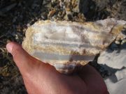 Scientists find early humans moved through Mediterranean earlier than believed Scientists find early humans moved through Mediterranean earlier than believed