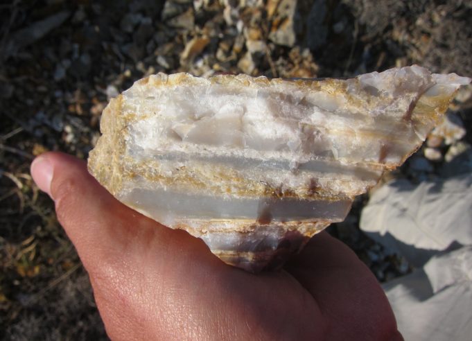 Scientists find early humans moved through Mediterranean earlier than believed Scientists find early humans moved through Mediterranean earlier than believed