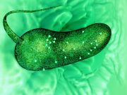 Scientists have first 3 D view of lifes processes in liquid