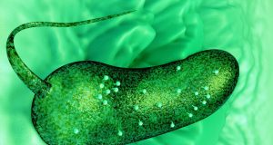 Scientists have first 3 D view of lifes processes in liquid