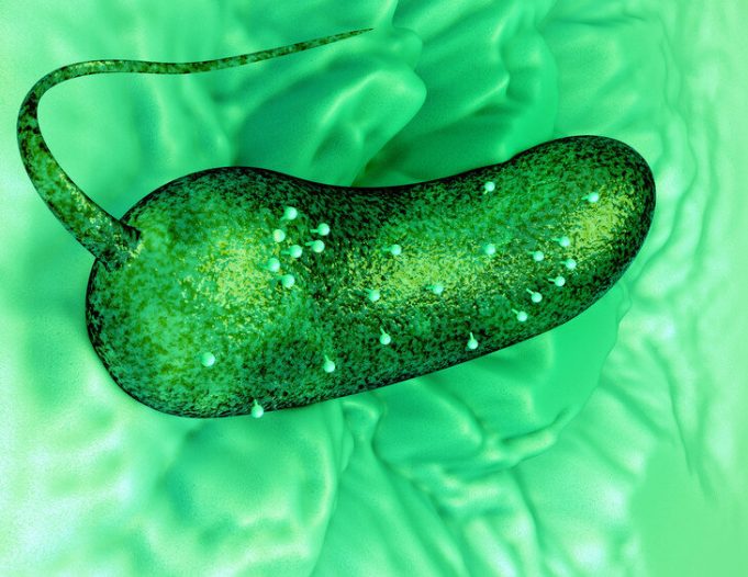 Scientists have first 3-D view of life’s processes in liquid Scientists have first 3 D view of lifes processes in liquid