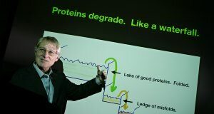 Study reveals how collapse of protein processes is driver of aging and death