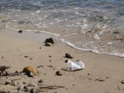 Sunlight degrades polystyrene faster than expected Sunlight degrades polystyrene faster than expected