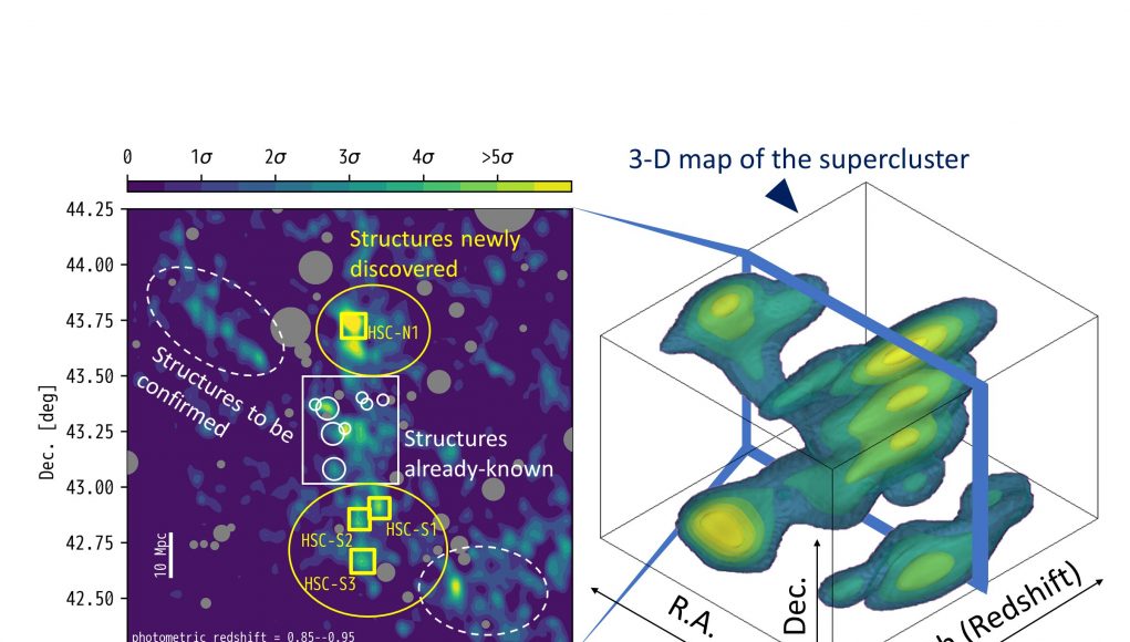 The whole picture of a distant supercluster in three dimensions