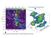 The whole picture of a distant supercluster in three dimensions