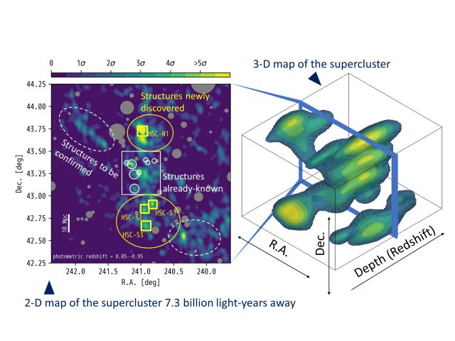 The whole picture of a distant supercluster in three dimensions