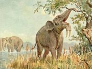 cropped Early humans evolved in ecosystems unlike any found today