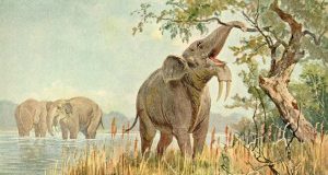 cropped Early humans evolved in ecosystems unlike any found today