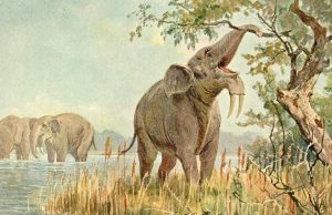 cropped Early humans evolved in ecosystems unlike any found today