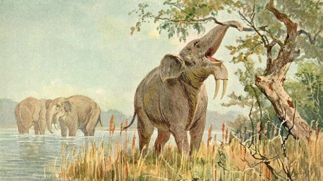 cropped Early humans evolved in ecosystems unlike any found today