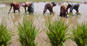 cropped Groundwater pumping could devastate river systems