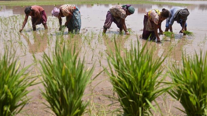 cropped Groundwater pumping could devastate river systems