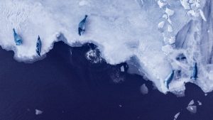 If Warming Exceeds 2 C, Antarctica's Melting Ice Sheets Could Raise ...