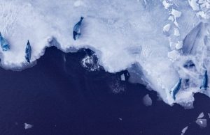 If warming exceeds 2 C, Antarctica’s melting ice sheets could raise seas 20 meters in coming centuries cropped If warming exceeds 2 C Antarcticas melting ice sheets could raise seas 20 meters in coming centuries