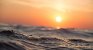 cropped Journal Nature retracts ocean warming study