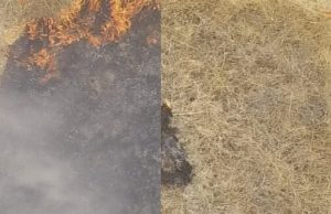 Researchers develop a gel-like fluid to prevent wildfires cropped Researchers develop a gel like fluid to prevent wildfires