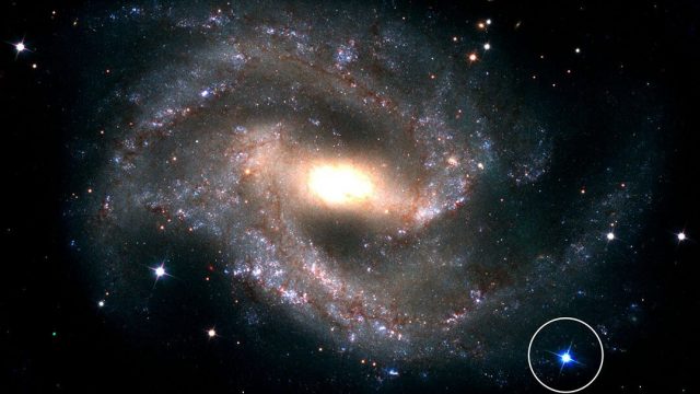 cropped Scientists observe year long plateaus in decline of Type Ia supernova light curves cropped Scientists observe year long plateaus in decline of Type Ia supernova light curves