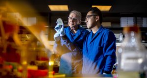 A new antibiotic has been hiding in the gut of a tiny worm. It may be our best weapon against drug resistant bacteria.