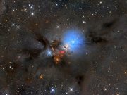 Chemistry in the turbulent interstellar medium