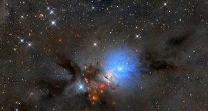Chemistry in the turbulent interstellar medium