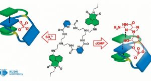 Chemists create molecule that can help treat heart disease and detect viruses