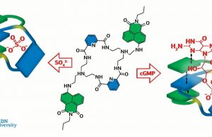 Chemists create molecule that can help treat heart disease and detect viruses