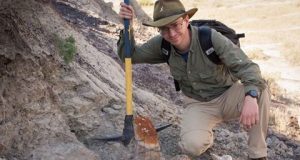 Dinosaur skull turns paleontology assumptions on their head