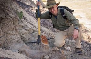 Dinosaur skull turns paleontology assumptions on their head