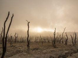 Nine climate tipping points now active warn scientists