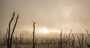 Nine climate tipping points now active warn scientists