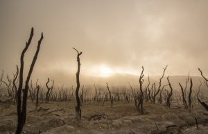 Nine climate tipping points now active warn scientists