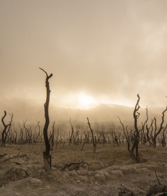 Nine climate tipping points now active warn scientists