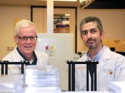 Potent antimicrobial found that shows promise in fighting staph infections