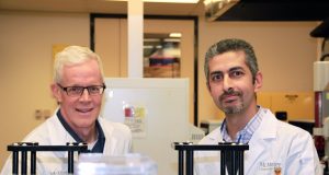 Potent antimicrobial found that shows promise in fighting staph infections