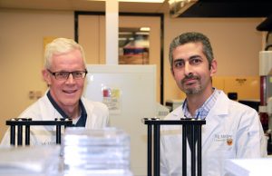 Potent antimicrobial found that shows promise in fighting staph infections