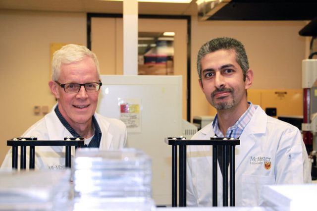 Potent antimicrobial found that shows promise in fighting staph infections Potent antimicrobial found that shows promise in fighting staph infections