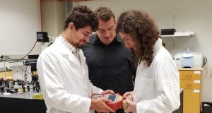 Researchers can now quickly accurately scan for nutrient content in the produce aisle