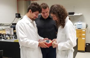 Researchers can now quickly accurately scan for nutrient content in the produce aisle