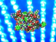 Researchers engineer insulin producing cells activated by light for diabetes