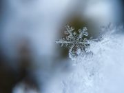 Scientists probe the limits of ice
