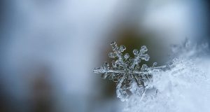 Scientists probe the limits of ice