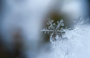 Scientists probe the limits of ice