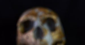 The last Neanderthal necklace 1